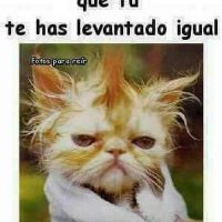 Andrés Iglesias Alonso (@andrsiglesiasa2) 's Twitter Profile Photo