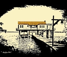 IslandNate's profile picture. Momentum Conservation... AKA what comes around goes around.