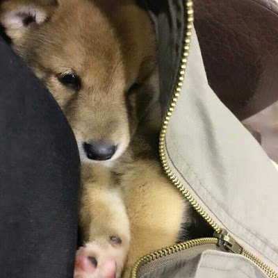 7hwVvk9wOGwDrQb's profile picture. 