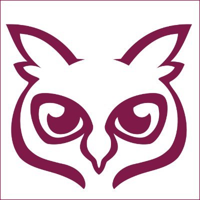 NightEyeStudioさんのプロフィール画像