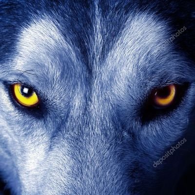 ⚠️Warning⚠️ 🔞Adults only🔞
👤 +18
Do you need promotion?
international promoter #adultmodel #eroticmodel #pornstar #camgirl
#RT #Follow