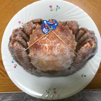 ぽのじ_ZETTON (@zetton_ponoji) 's Twitter Profile Photo