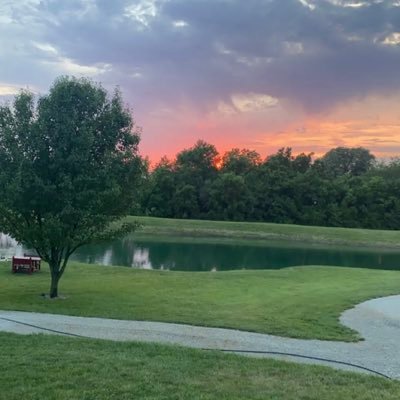 Cristin96637147's profile picture. 