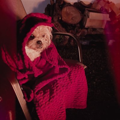 cork_inthehouse's profile picture. dude in a sorority | OC psych & public health | he/they