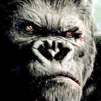 Kong, James Kong (@gabrielmuriel) 's Twitter Profile