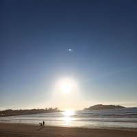 Rogonsa (@rogonsa1) 's Twitter Profile