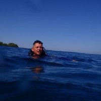 Koala El señor de los huevos 🐨 (@el_koalinha) 's Twitter Profile