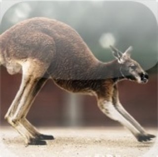 yuichiro12345's profile picture. どうぞよろしくお願いします。