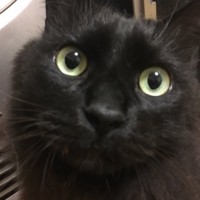 miyachan_ohayo's profile picture. テーマパーク |コスメ | K-POP | 趣味雑多 | 無言フォロー失礼します🙇‍♀️ 趣味以外のいいねは覚書も含まれる物がありますので、全てが賛同の意思ではありません