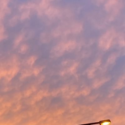 amanda_6250's profile picture. うたいです | 破滅を願わない ずっと真実の話をしています　反 差 別 !!