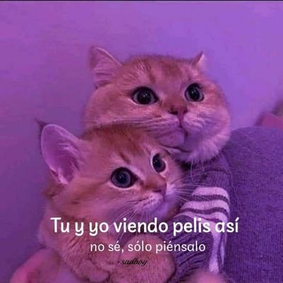 BenitoAng's profile picture. sencillo y buena onda!