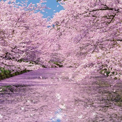 平成19年創立の歯科衛生士養成校です。 千葉県と茨城県の県境に位置し、JR・関東鉄道の 取手駅から徒歩5分の好立地です。 home pageは→https://t.co/ejEkb3yFcW
