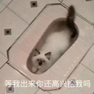 信子／20↑／FUB free ／大家凑合着看吧