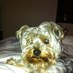 Julie margrave (@margiemagic15) Twitter profile photo Julie margrave (@margiemagic15) Twitter profile photo