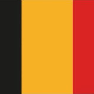 Bruxelles_City Profile Picture