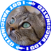 上杉猫山🐟🐱 (@sakuraohmori) Twitter profile photo 上杉猫山🐟🐱 (@sakuraohmori) Twitter profile photo