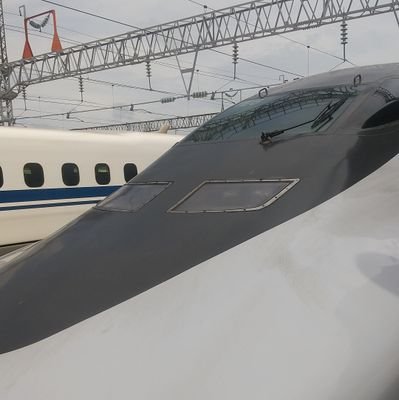 行政書士▪助成金獲得と運営支援のプロフェッショナル/地域課題解決のため助成金獲得や企業▪団体の伴走支援1500件/獲得助成金14億円/NPO支援、新規事業創出、農畜産ブランド化