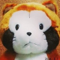 やおや (@808magica) 's Twitter Profile Photo