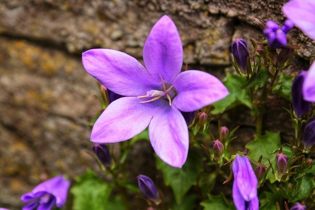 Belen45617490's profile picture. 