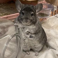 北島行徳@シナリオ会社ジンテーゼ代表 (@y_kitajima) 's Twitter Profile Photo 北島行徳@シナリオ会社ジンテーゼ代表 (@y_kitajima) 's Twitter Profile Photo