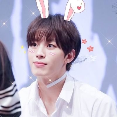 hongbin as bunnies 🐇