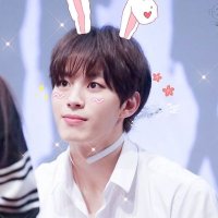 hongbin as bunnies π (@hongbinbunny) 's Twitter Profile