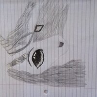 Kylie Dee (@kyliedee14) 's Twitter Profile
