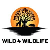 Wild4Wildlife(@wild_4wildlife) 's Twitter Profile Photo