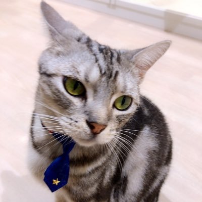 AprJul091's profile picture. 20以上/月日/煉猗窩/爆出爆/FGO/..etc 無言フォロー・いいね・RT失礼いたします。