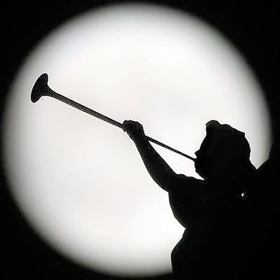 Philosophie, Phénoménologie, amateur de la musique classique