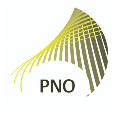 PNO Consultants Profile