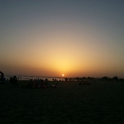 seny_y's profile picture. 