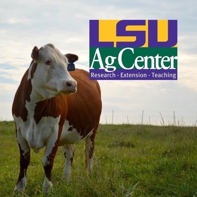 We strive to bring producers and industry personnel research-based educational information and programs on beef cattle production in Louisiana.