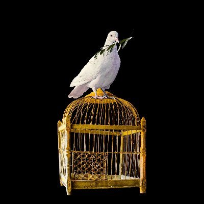 OuiJeSuisLibre's profile picture. Pour la liberté, l'égalité et la fraternité ; la paix, l'amour, le respect et l'espoir.