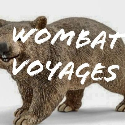 WombatVoyages's profile picture. #Excursiones y #viajes a cualquier destino.
Especialistas en grupos y en España y Portugal