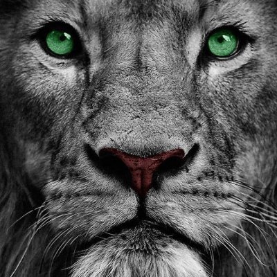 CODEBEGINNER1's profile picture. Just Code And football