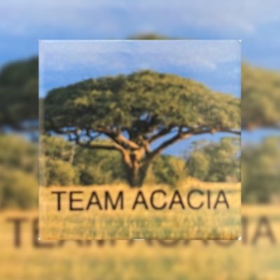 Team Acacia WXH 💙