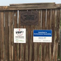 Derek Benedict (@benedictbeef) 's Twitter Profile Photo