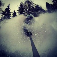 Rami Dorot (@ramigmed1) 's Twitter Profile