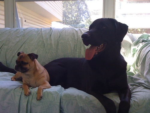 DukeHornet72's profile picture. 