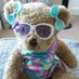 Olivia The Sweet Bear (@OliviaTheSweet3) Twitter profile photo