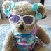 Olivia The Sweet Bear (@oliviathesweet3) Twitter profile photo Olivia The Sweet Bear (@oliviathesweet3) Twitter profile photo