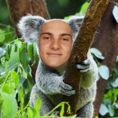 yes, i edited that pfp myself. no, i don’t take requests.