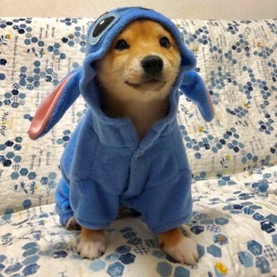 Akai_02's profile picture. 