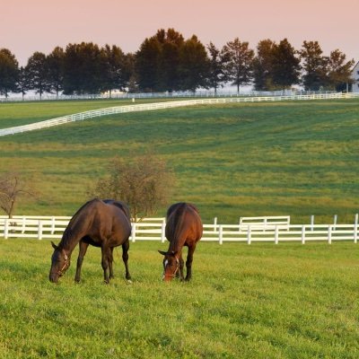 I'm an entrepreneur living in the great Commonwealth of Kentucky