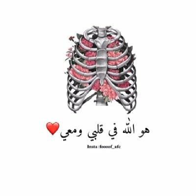 Quranverses10's profile picture. An account dedicated to publish verses from the quran in arabic and their translation in english 
As a sadaqa for my dead grandparents ❤🙏