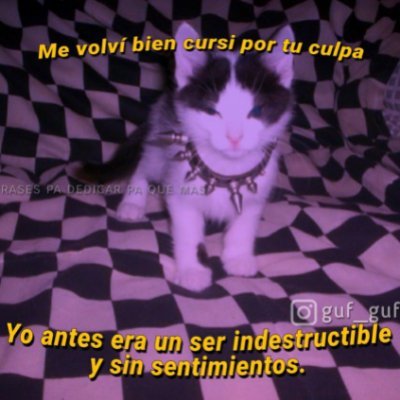 oriana54512459's profile picture. bailar amar bailar