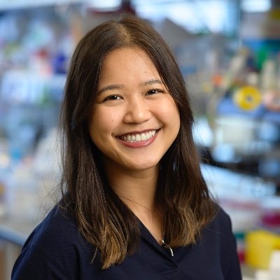 Dianne Lumaquin-Yin Profile