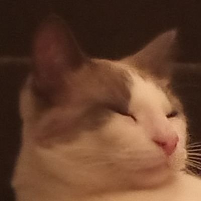 ElPermakiller's profile picture. 