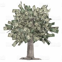 Pengatree (@pengatree) 's Twitter Profile